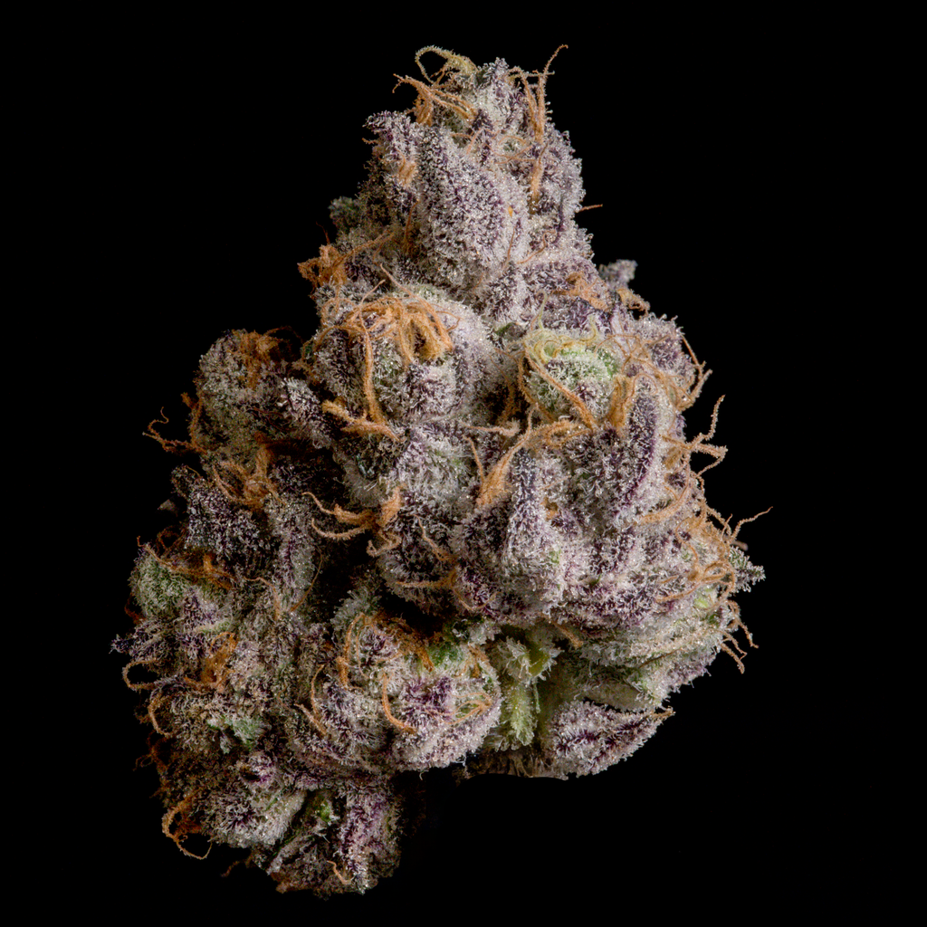 WIZARD TREES GENETICS
Shazam
Count 3 Seeds