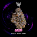 WIZARD TREES GENETICS
Shazam
Count 3 Seeds