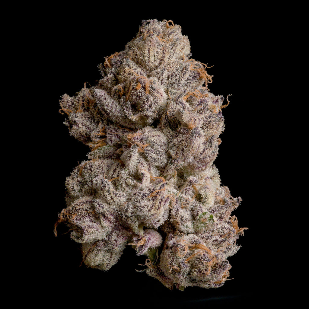 WIZARD TREES GENETICS
Shazam
Count 3 Seeds