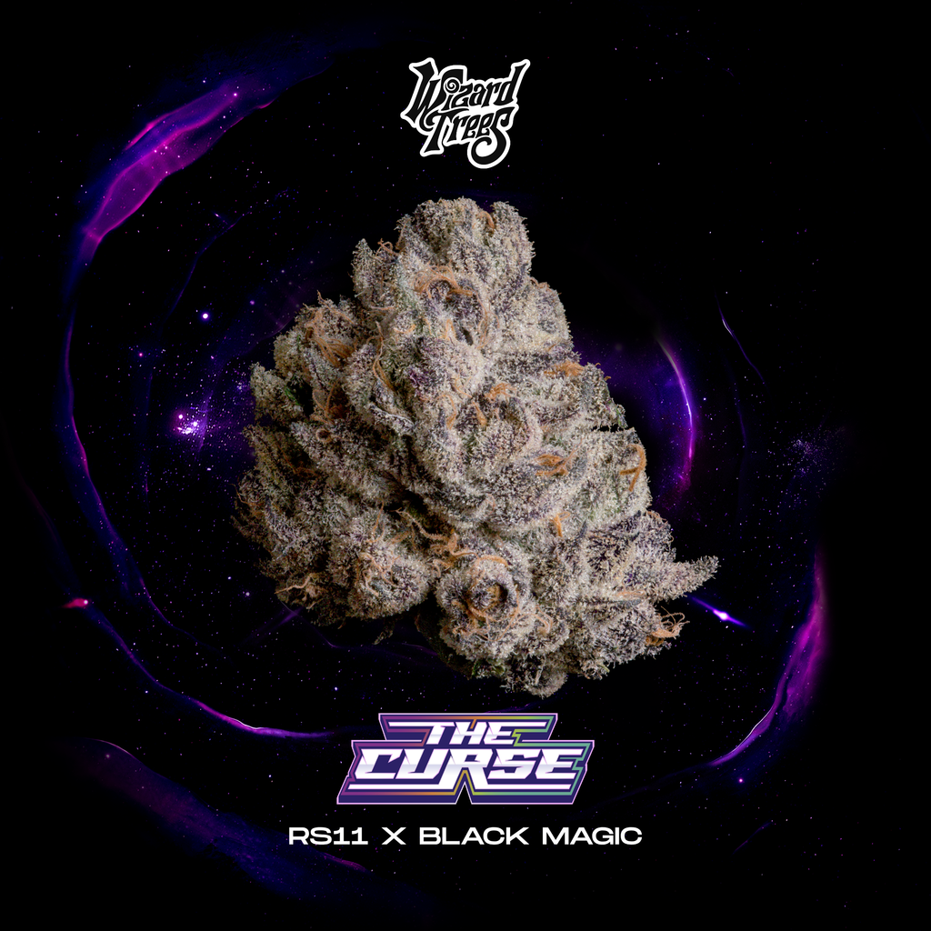 WIZARD TREES GENETICS
The Curse
 Count 3 Seeds