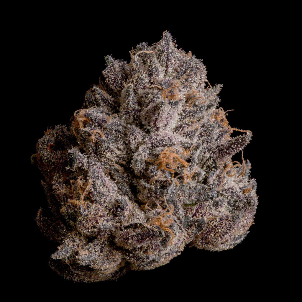 WIZARD TREES GENETICS
Tea Tree
Count
3 Seeds