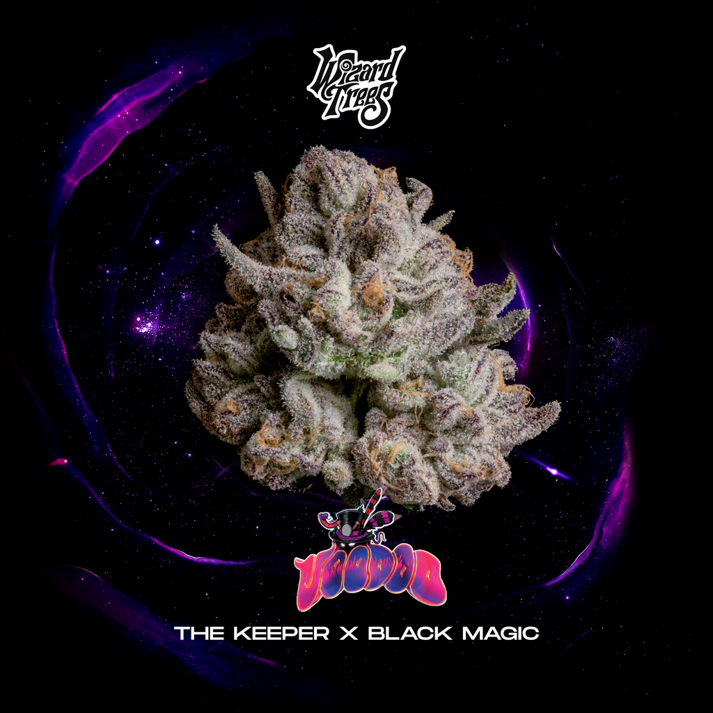 WIZARD TREES GENETICS
Voodoo
Count
3 Seeds