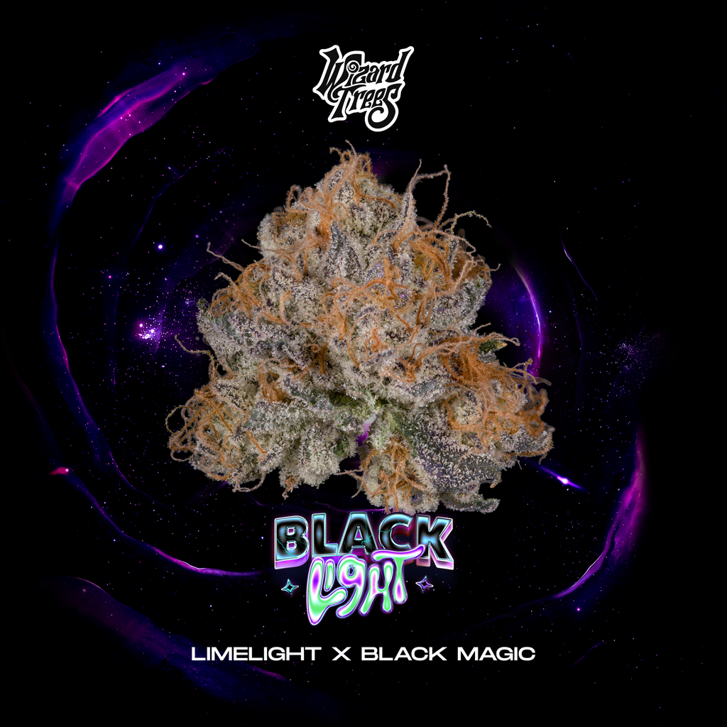 WIZARD TREES GENETICS
Blacklight
Count 3
