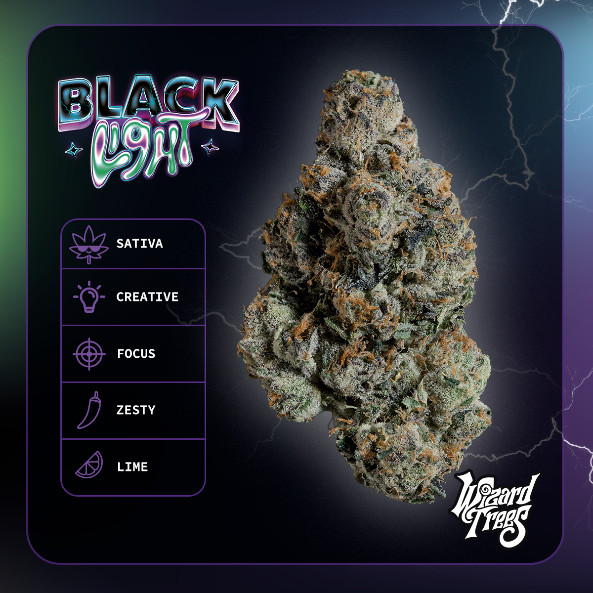 WIZARD TREES GENETICS
Blacklight
Count 3