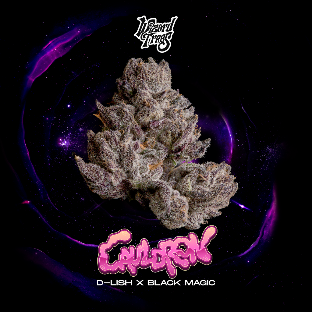 WIZARD TREES GENETICS
Cauldron
Count
3 Seeds
