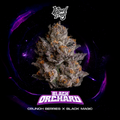 WIZARD TREES GENETICS
Black Orchard
Count
3 Seeds