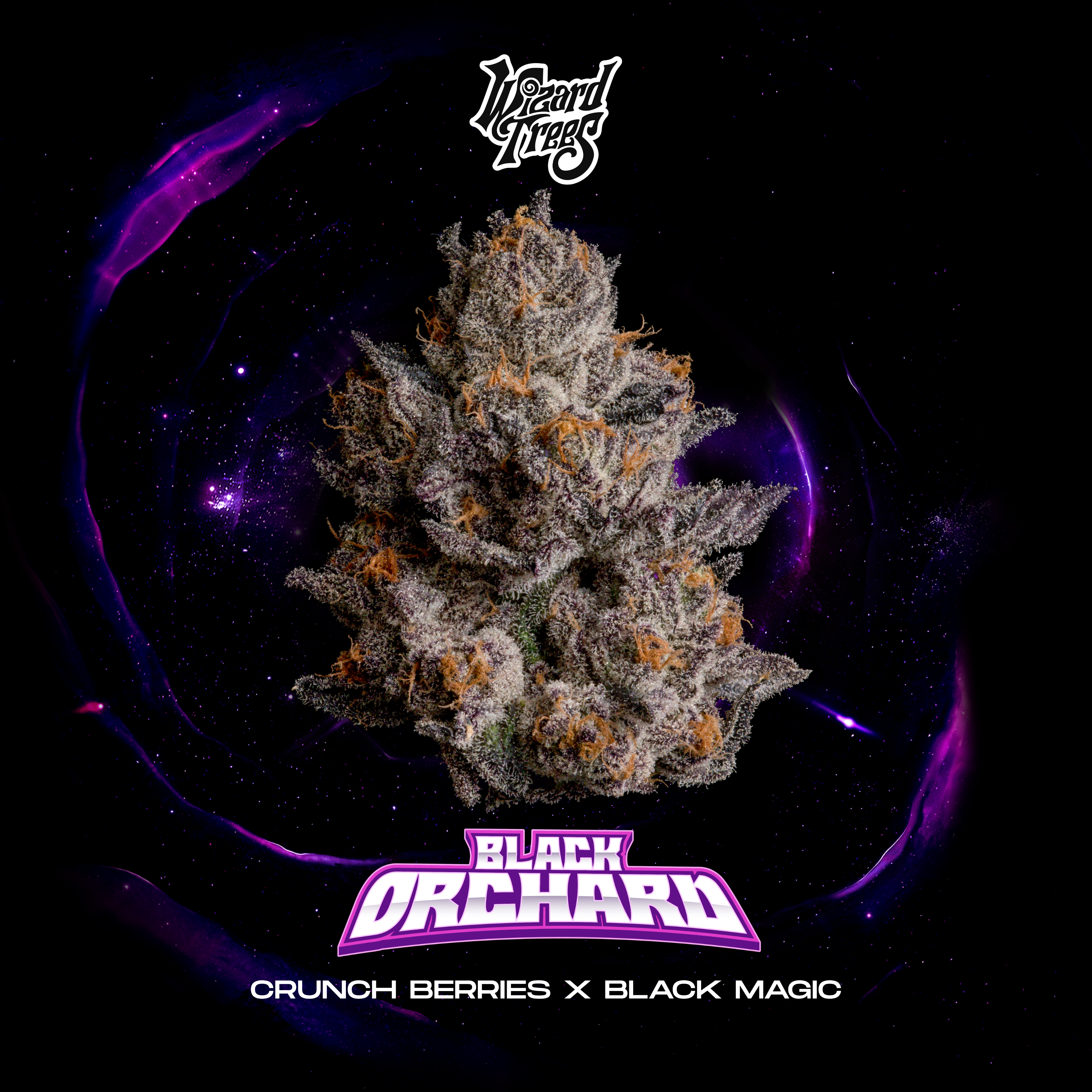 WIZARD TREES GENETICS
Black Orchard
Count
3 Seeds