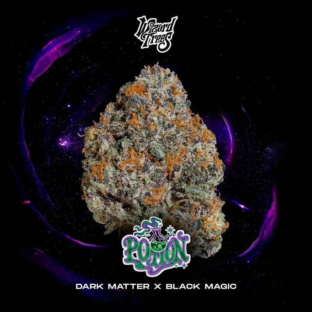 WIZARD TREES GENETICS
Potion
Count
3 Seeds