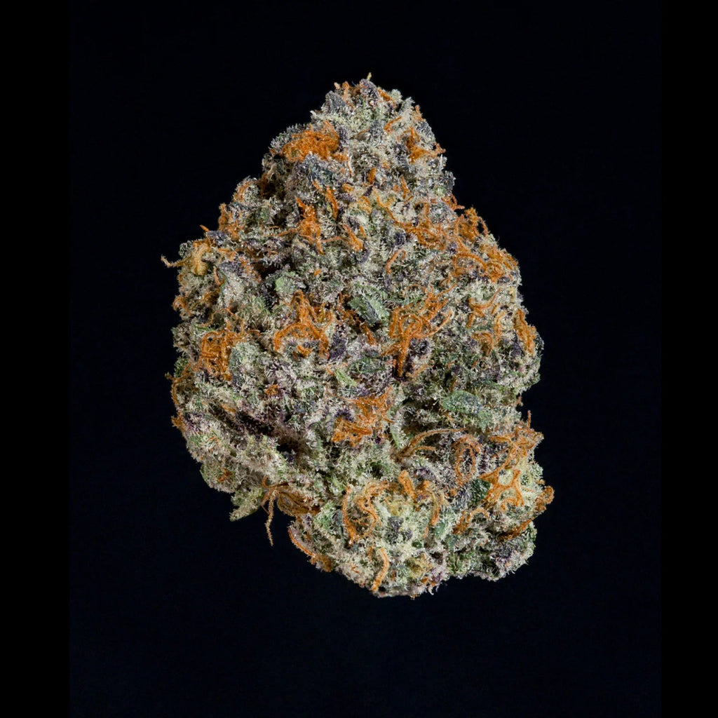 WIZARD TREES GENETICS
Potion
Count
3 Seeds
