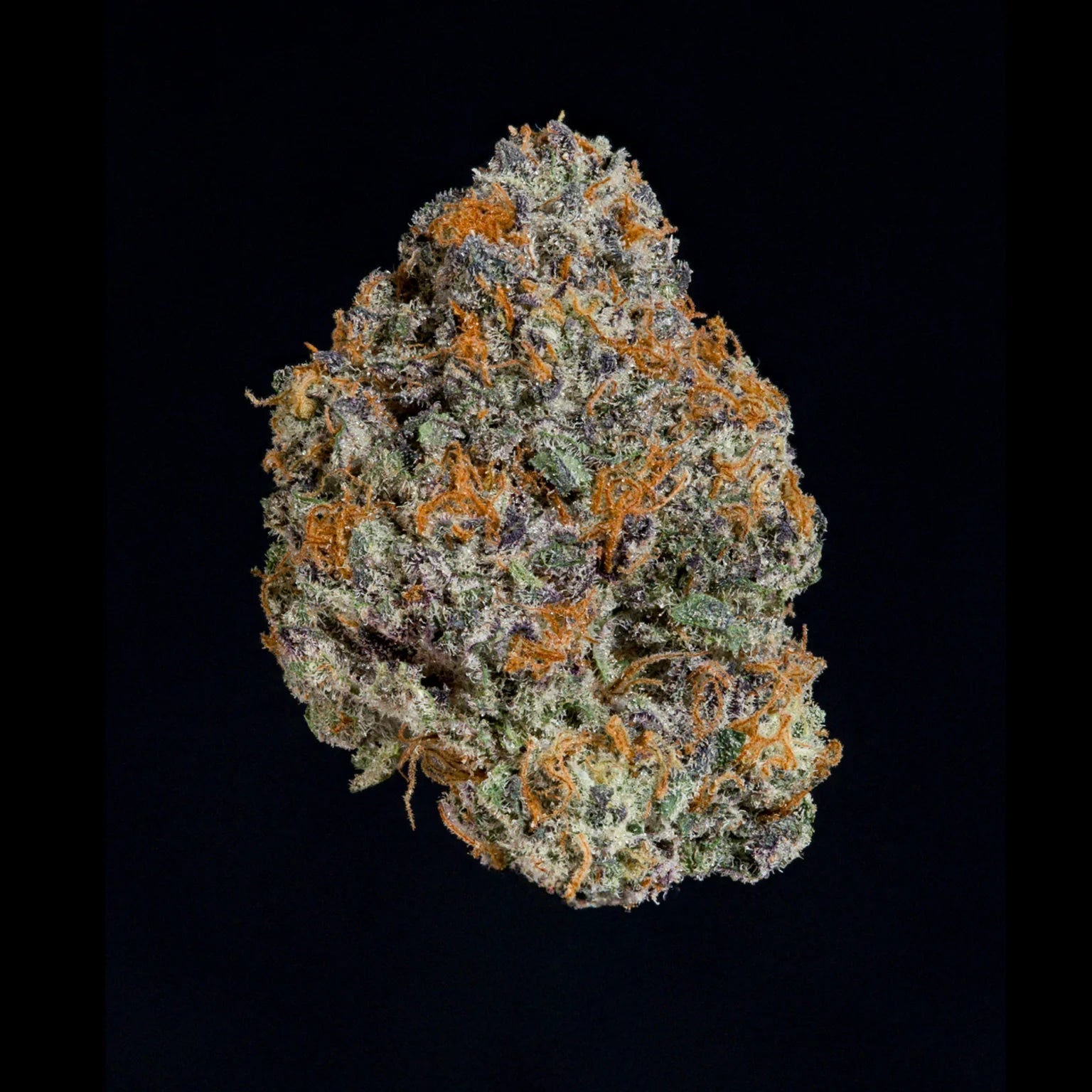 WIZARD TREES GENETICS
Potion
Count
3 Seeds