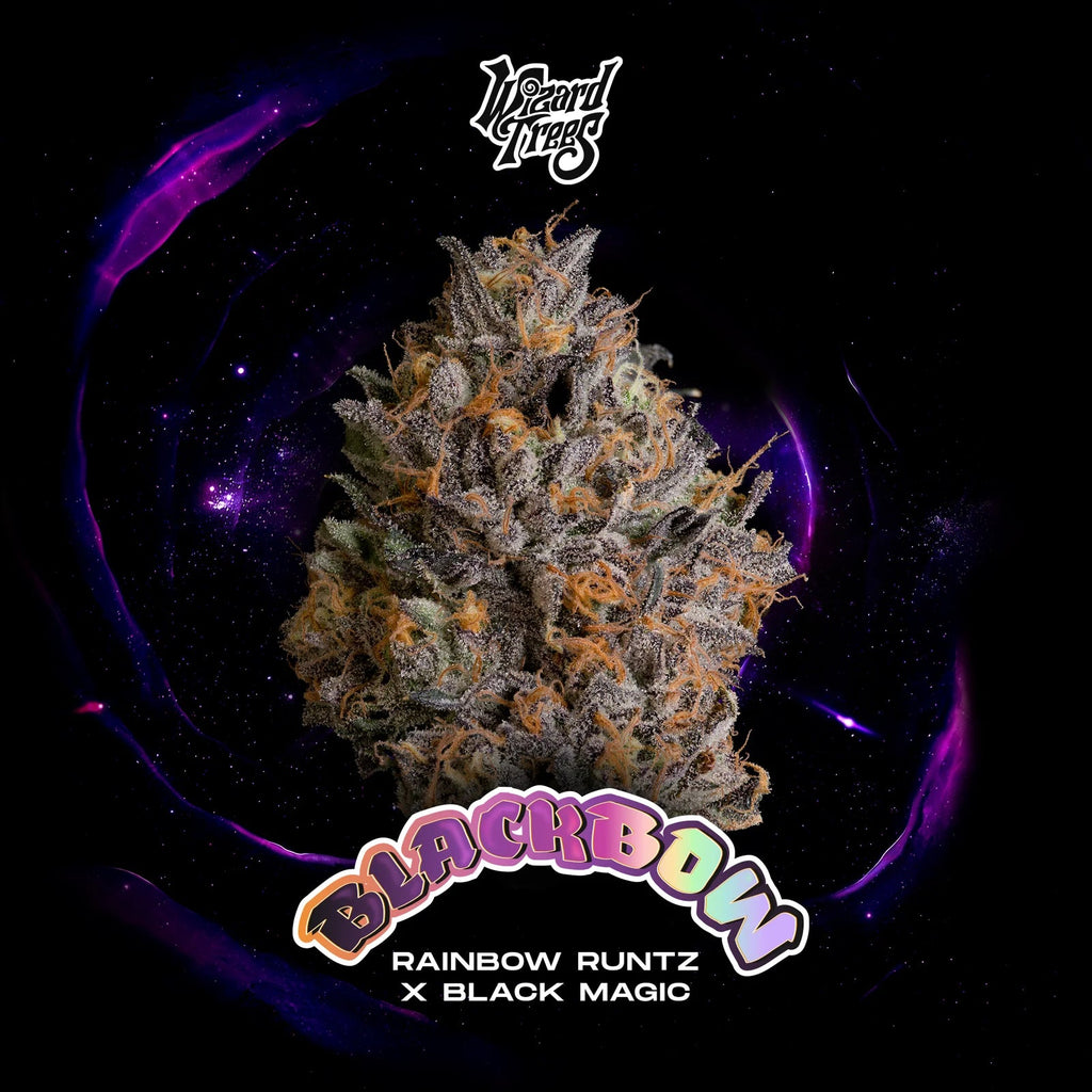 WIZARD TREES GENETICS
Black Bow 
Count
3 Seeds