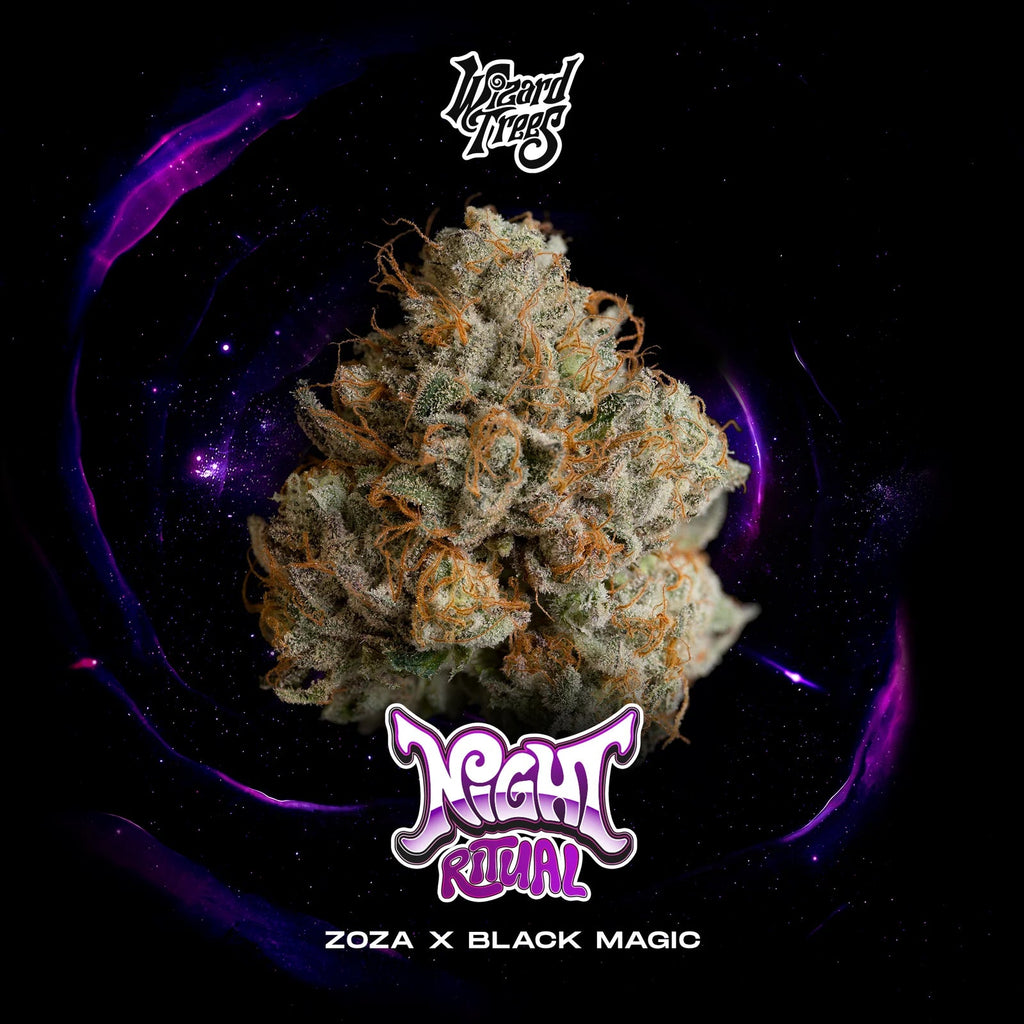 WIZARD TREES GENETICS
Black Bow
Count
3 Seeds