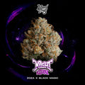 WIZARD TREES GENETICS
Black Bow
Count
3 Seeds