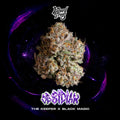 WIZARD TREES GENETICS
Obsidian 
Count
3 Seeds