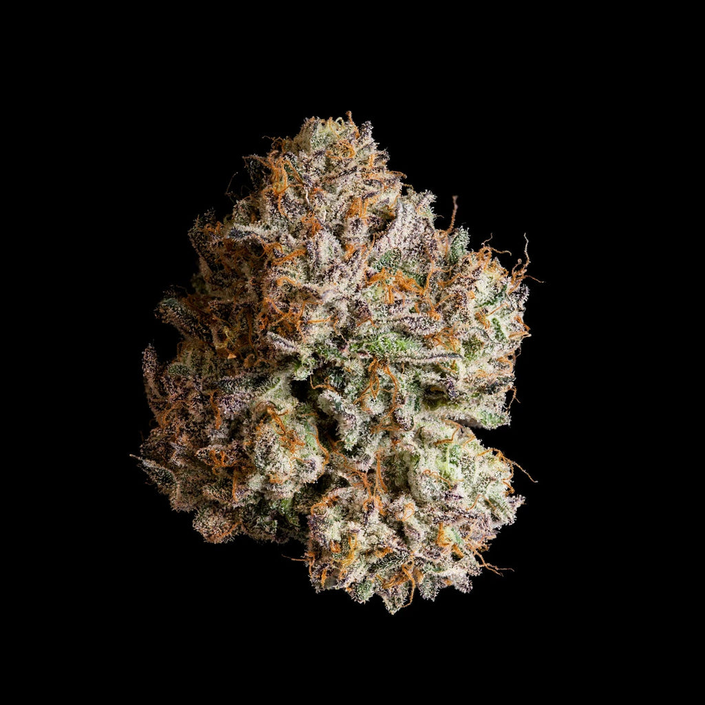 WIZARD TREES GENETICS
Obsidian 
Count
3 Seeds